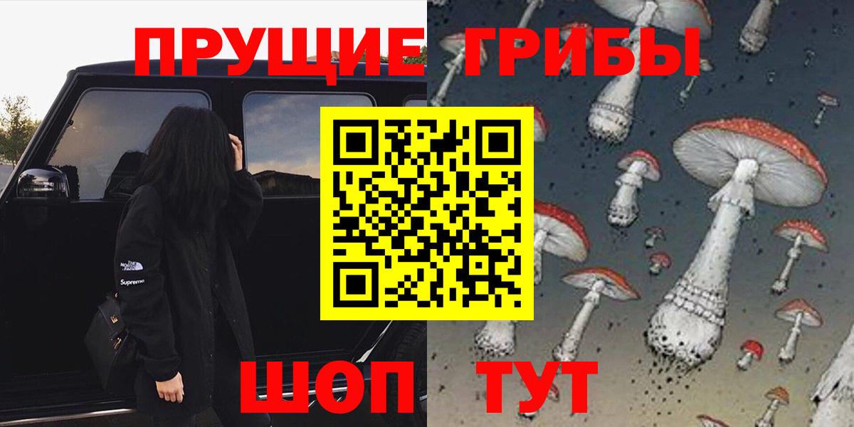 Бузулук  Галлюциногенные грибы Magic Shrooms  Вход с VPN 